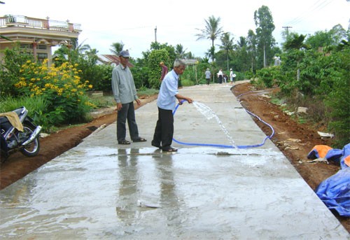 L’instauration de la nouvelle ruralité à Dong Tam - ảnh 1